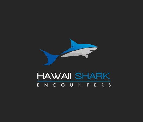 Hawaii Shark Encounters Profile Picture