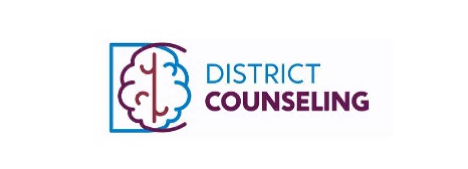 DISTRICT COUNSELING Cover Image