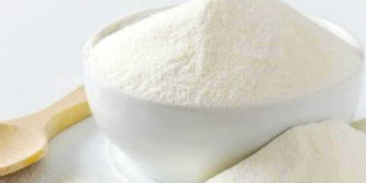 Soymilk Powder Manufacturing Plant Project Report 2024 | Unit Operations, Business Plan and Cost Analysis