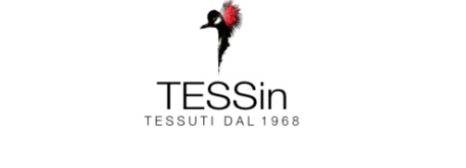 TESSin Cover Image