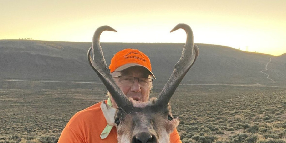 Unlocking the Thrill: Affordable Elk Hunts in Colorado with Hutch on Hunting