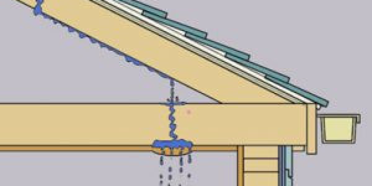 Expert Insights: Choosing the Right Roof Leakage Specialist in Singapore