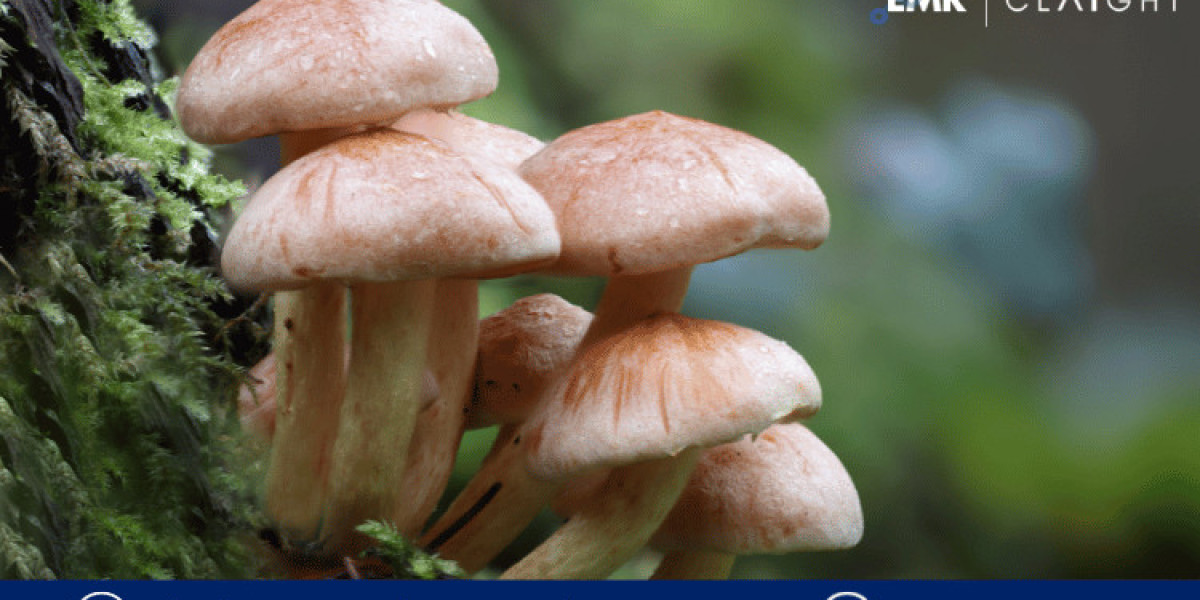 Thriving Trends: Exploring the Growth Trajectory of Argentina Mushroom Market