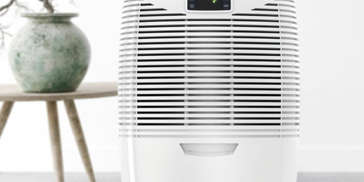 Where Can You Find a Dehumidifier for Drying Clothes?