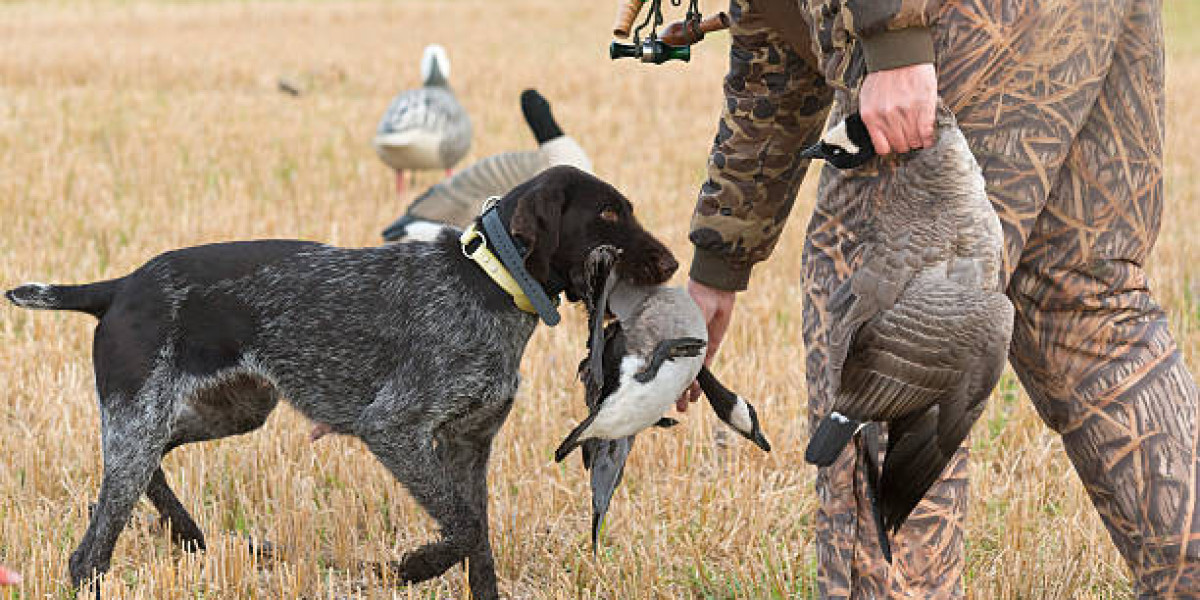 Mastering the Art of Goose Hunting in Texas: A Hunter's Guide