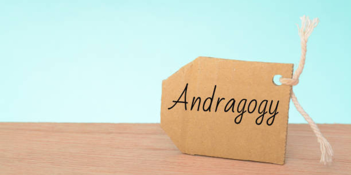 Unraveling Andragogy: A Comprehensive Guide