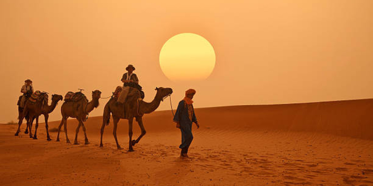 Unforgettable Experiences Await on Desert Tours in Morocco