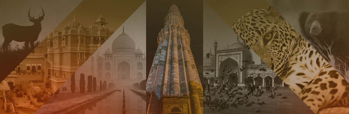 Indian Maharaja Tours Cover Image