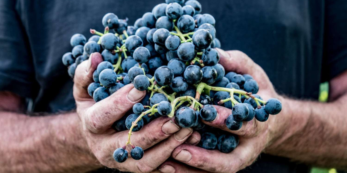 Are Grapes Good for Men’s Health?