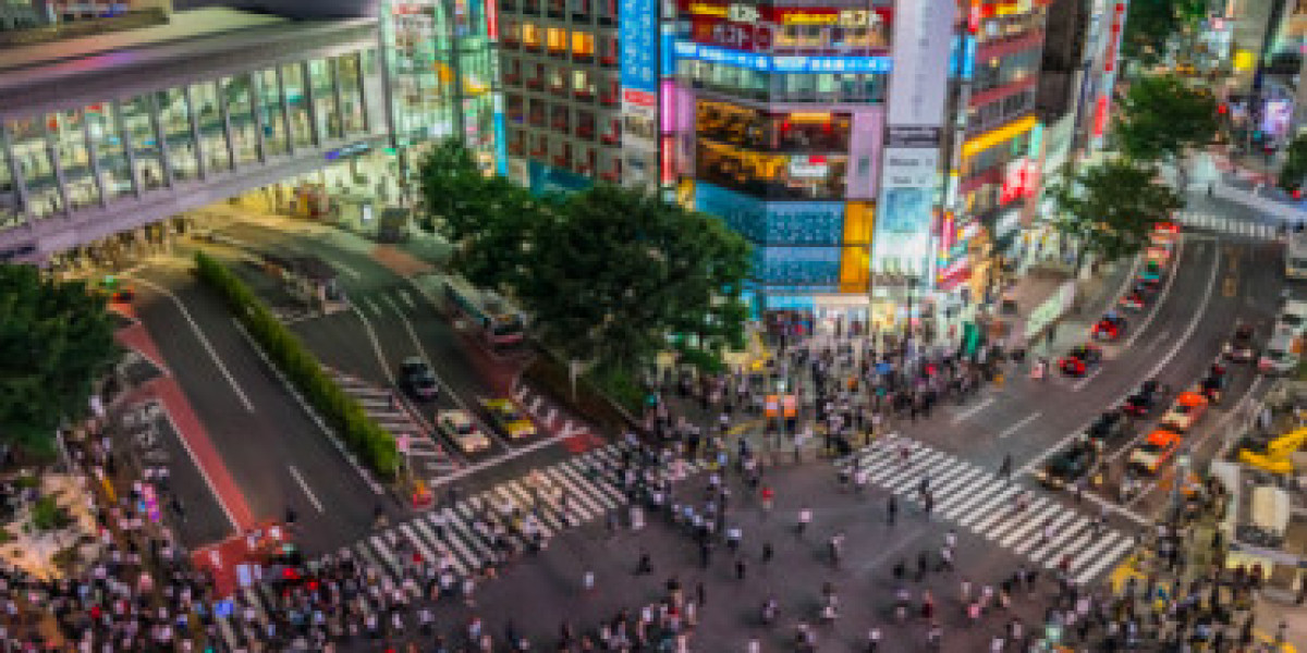 Customize Your Tokyo Experience with Private Guided Tours
