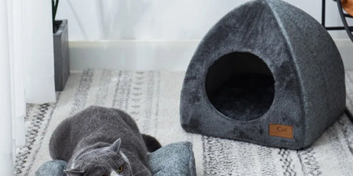 Nighttime Comfort: How a Heated Pet Bed Promotes Better Sleep