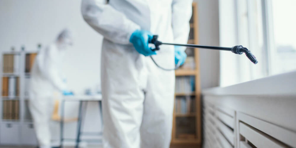 Top Pest Control Management Strategies for Singapore Homes