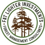 Fat Lighter Investments profile picture