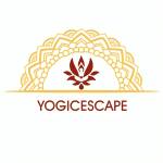 Yogicescape profile picture