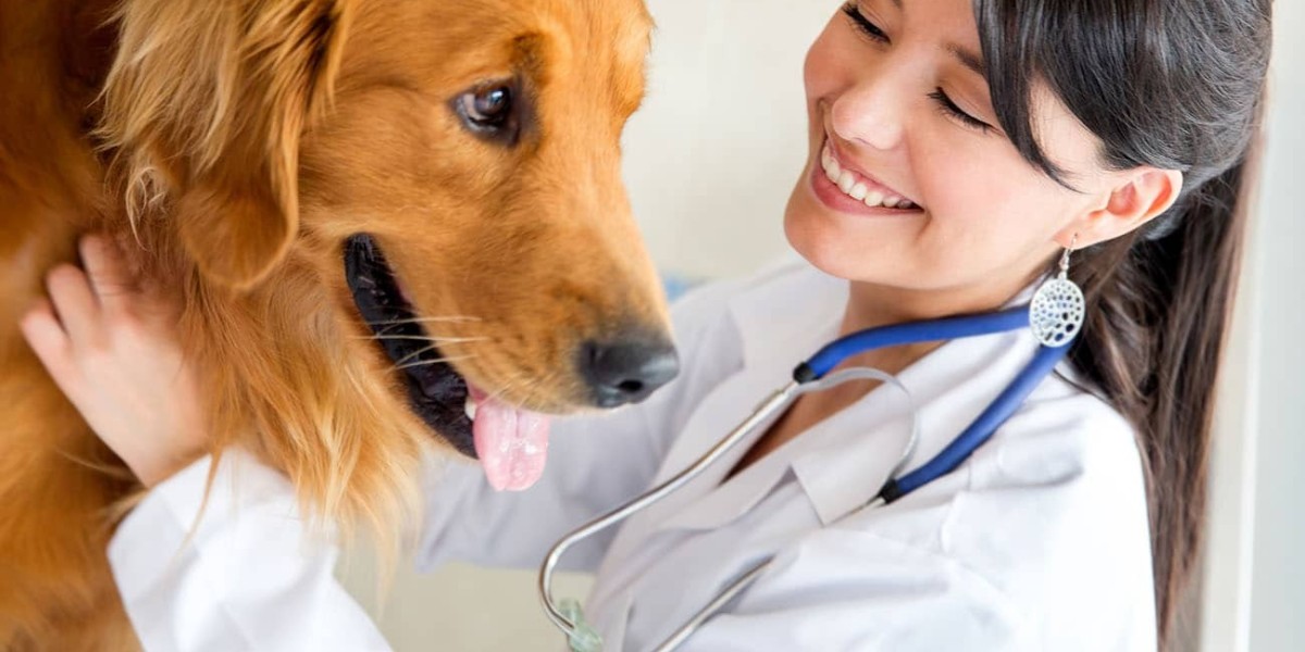 How Affordable Veterinary Services in Winnipeg Can Keep Your Pet Healthy While Saving You Money?