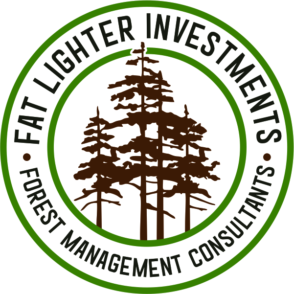 Forest Management Solutions | Consultancy Services & Techniques