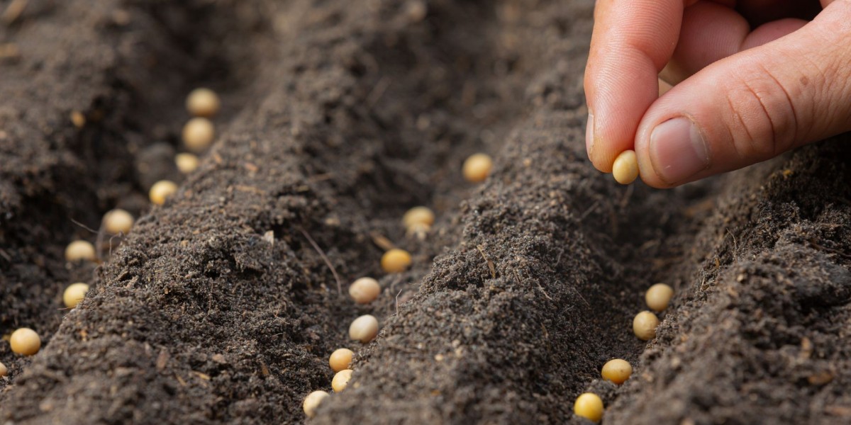 Seeds Market Set for Robust Growth, Projected to Reach USD 119.4 Billion by 2032