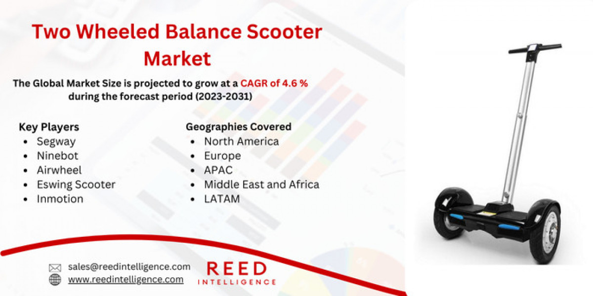 Two Wheeled Balance Scooter Market Market Segmentation, Regional Insights, and Top Players 2024-2032