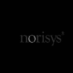 Norisys India Profile Picture