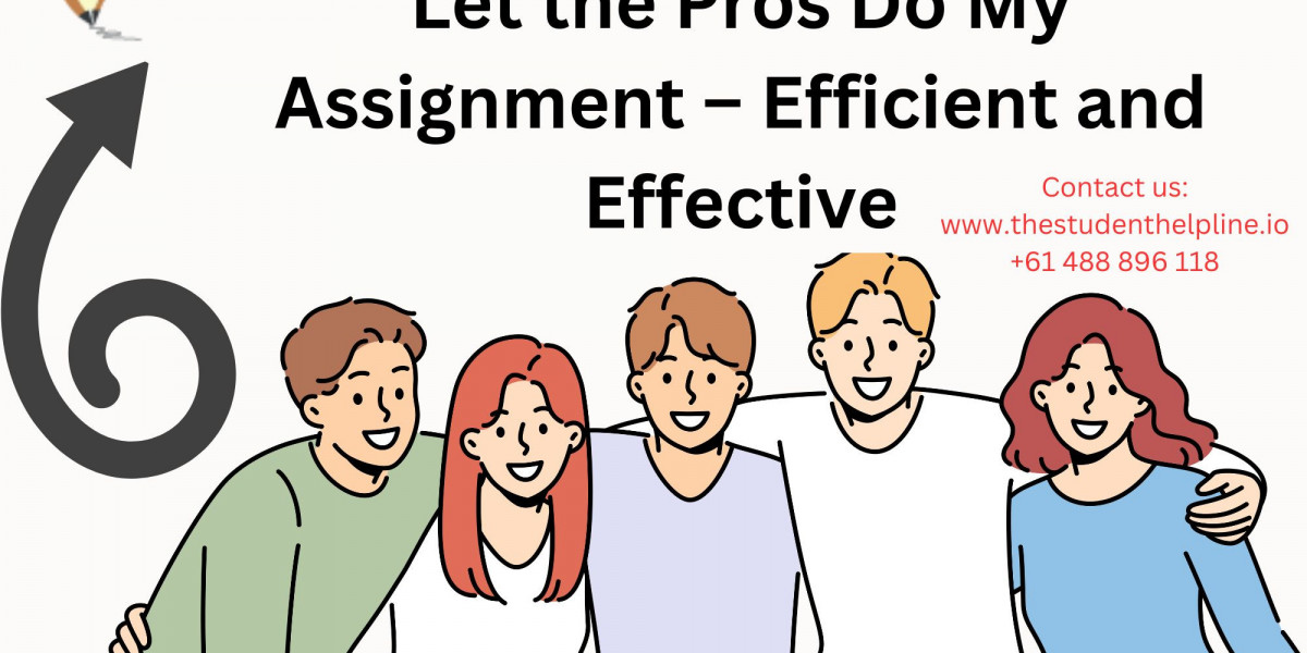 Let the Pros Do My Assignment – Efficient and Effective