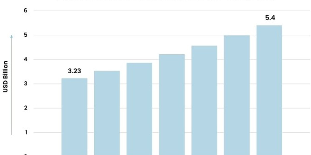 "Regional Analysis of the Tankless Water Heater Market: Key Trends and Growth Opportunities for 2023-2028"