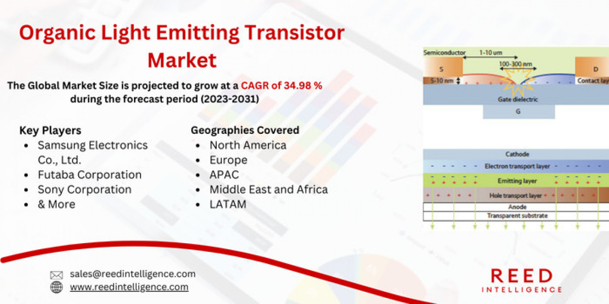 Organic Light Emitting Transistor Market Market Segmentation, Regional Insights, and Top Players 2024-2032