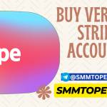 Buy verified Stripe accounts Profile Picture