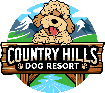 Doggy Daycare West Kelowna | Daycare For Dogs | Dog Nail Cutter | Dog Bathing | Nail Grinding For Dogs | West Kelowna | Services & Rates Country Hills Dog Resort