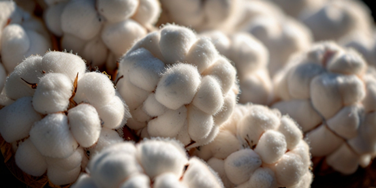 Cotton Prices, News, Chart, Demand and Forecast