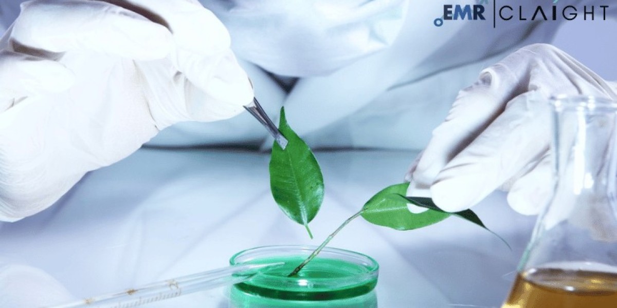 Bio-Based Platform Chemicals Market Size, Share, Growth Analysis & Industry Trends | Report 2032