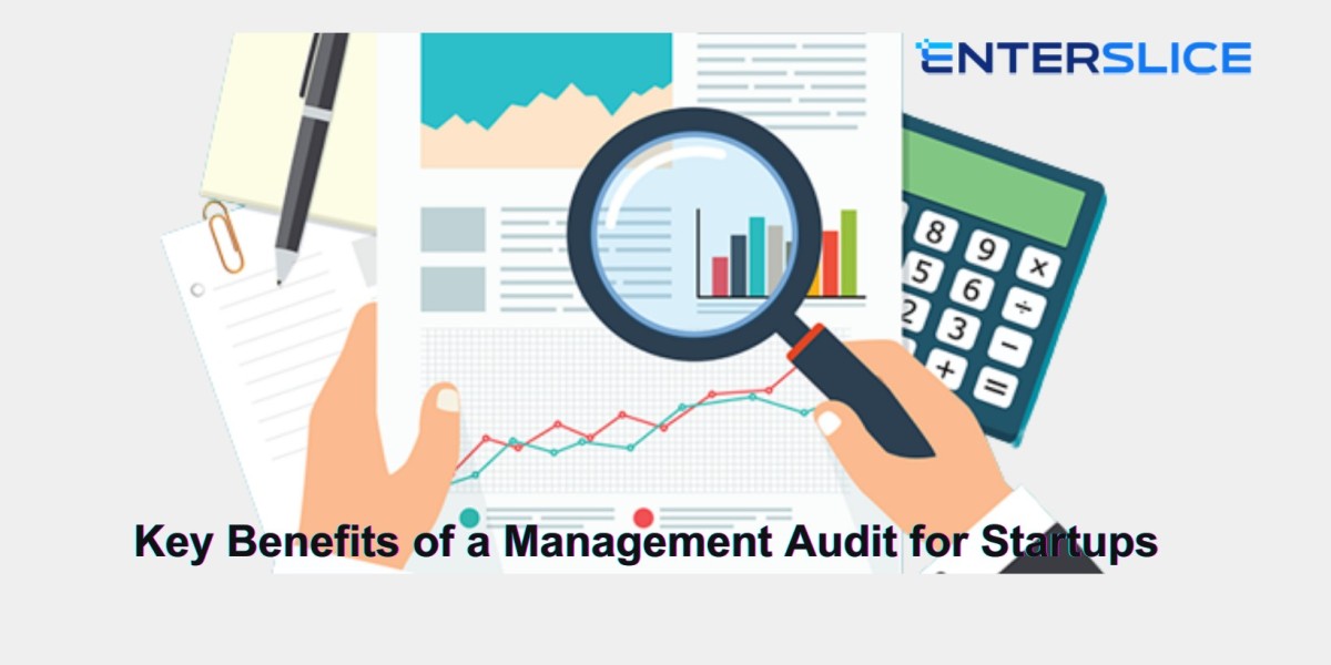 What Are the Key Benefits of a Management Audit for Startups?