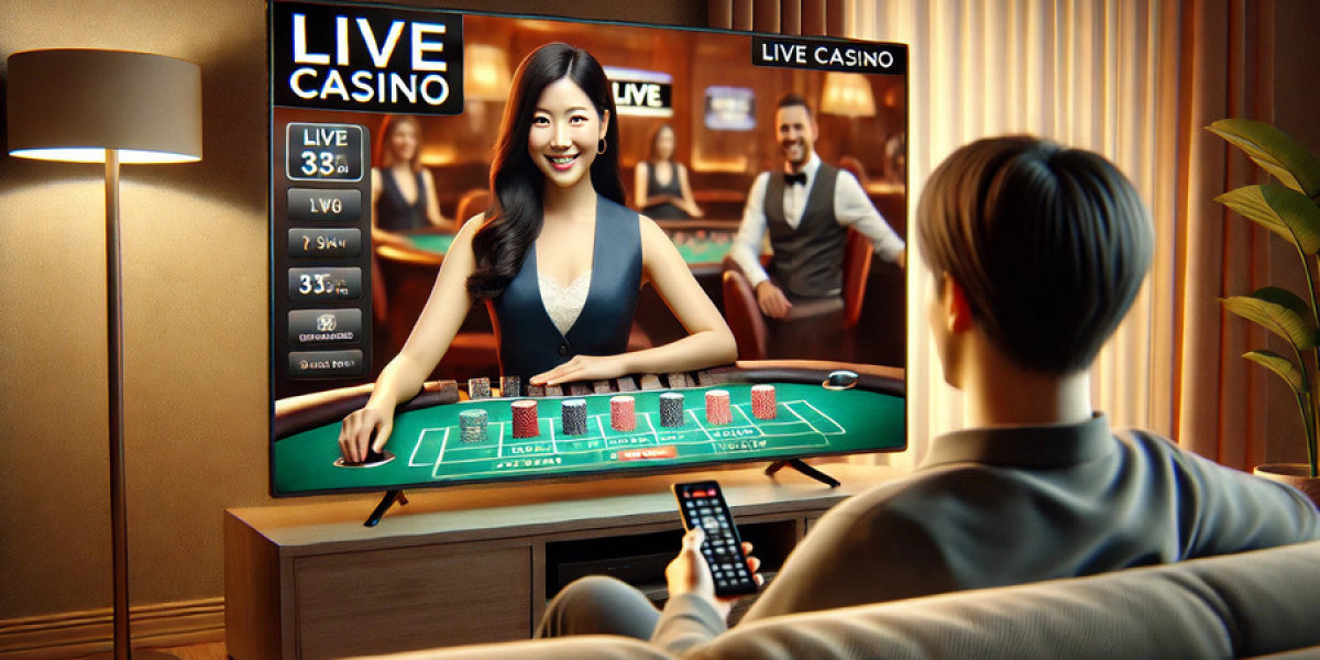 Explore Free Casino Games