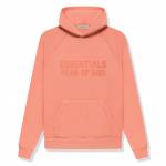 grey essentials hoodie profile picture