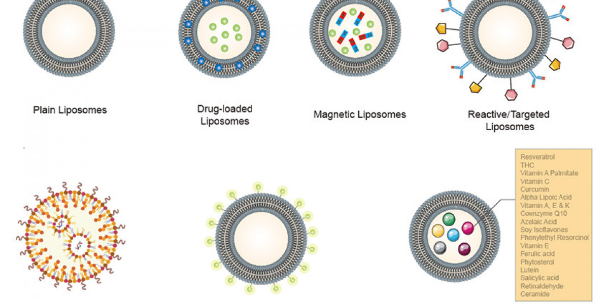 CD Bioparticles Announces Advanced Capabilities in Customized Liposomes for Targeted Delivery