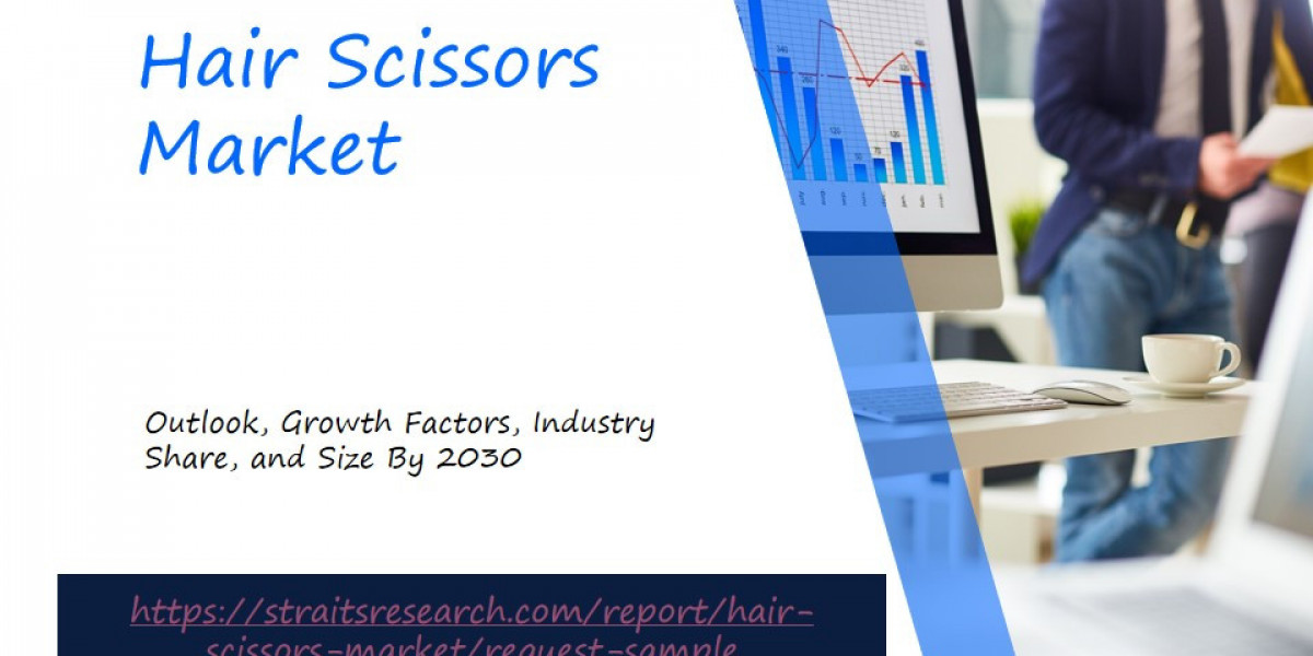 Hair Scissors Market Forecast: Examining Segmentation, Consumer Preferences, and Emerging Opportunities