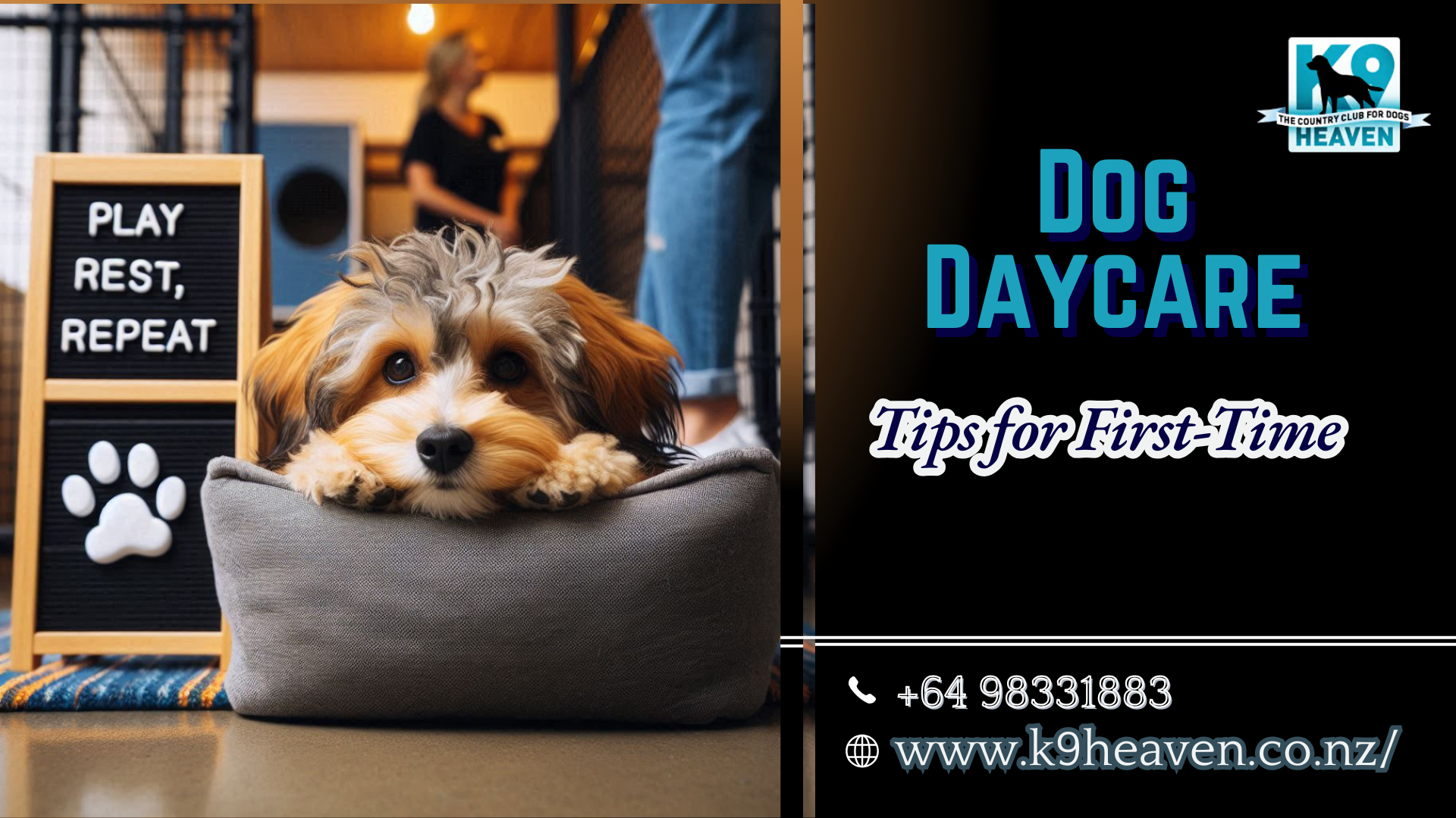 Dog Daycare Tips for First-Time Users    https://s..