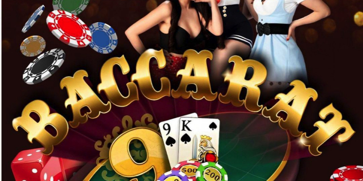 K9Win Online Casino: Unleash Premium Betting and Gaming Experiences