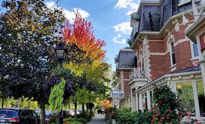 Weed Delivery in Niagara on the Lake. Free Same Day Service