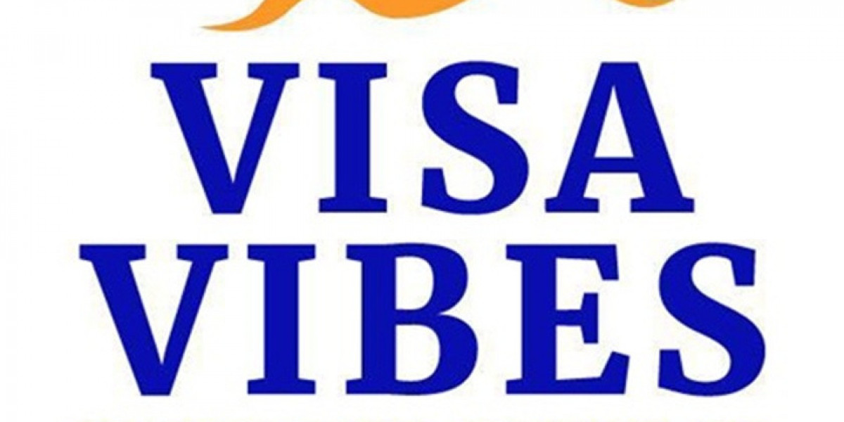 Educational Consultant Brisbane - Book Expert Services at VISA VIBES PTY LTD