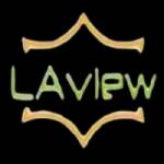 Laview Camera Setup Profile Picture