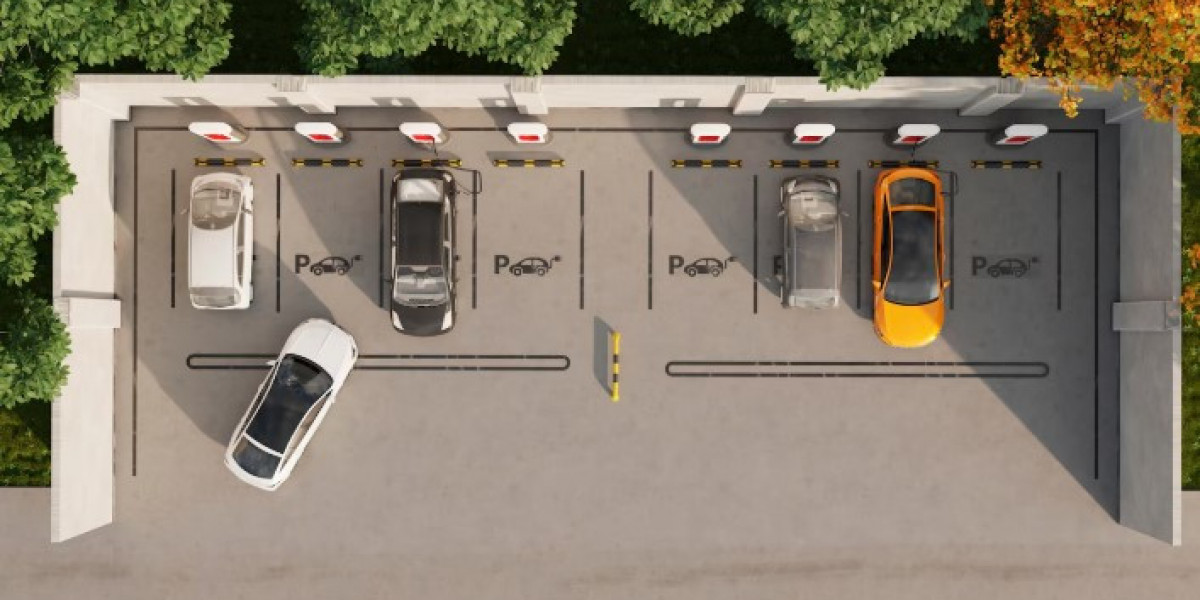 Enhancing Urban Mobility with the LPR Parking Solution