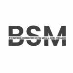 bsm international manufacturing Profile Picture