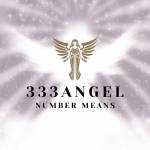 333 Angel Number Means Profile Picture