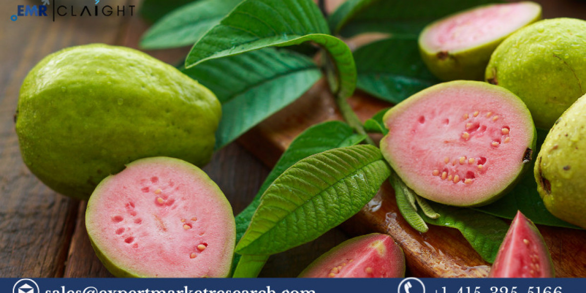 Guava Puree Market: Growth, Trends, and Key Players