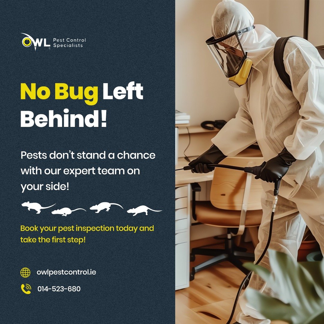 Pests That Require A Professional Exterminator