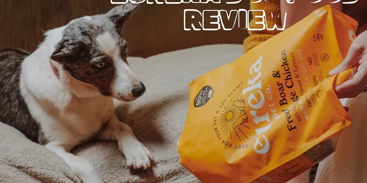 Eureka Dog Food Reviews: A Look at Quality and Nutrition for Your Pet