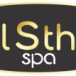 nailsthetic spa Profile Picture