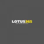 lotus365 sports Profile Picture