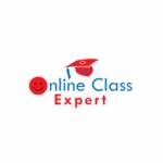 Online Class Expert profile picture