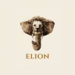 Elion Homes Profile Picture